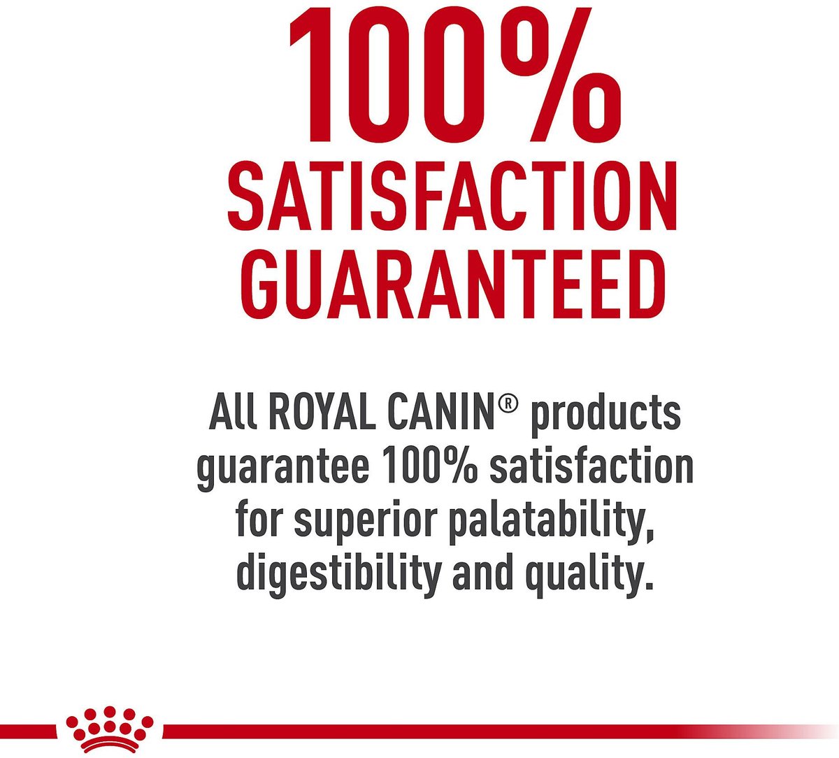 Royal Canin Breed Health Nutrition Labrador Retriever Adult Dry Dog Food