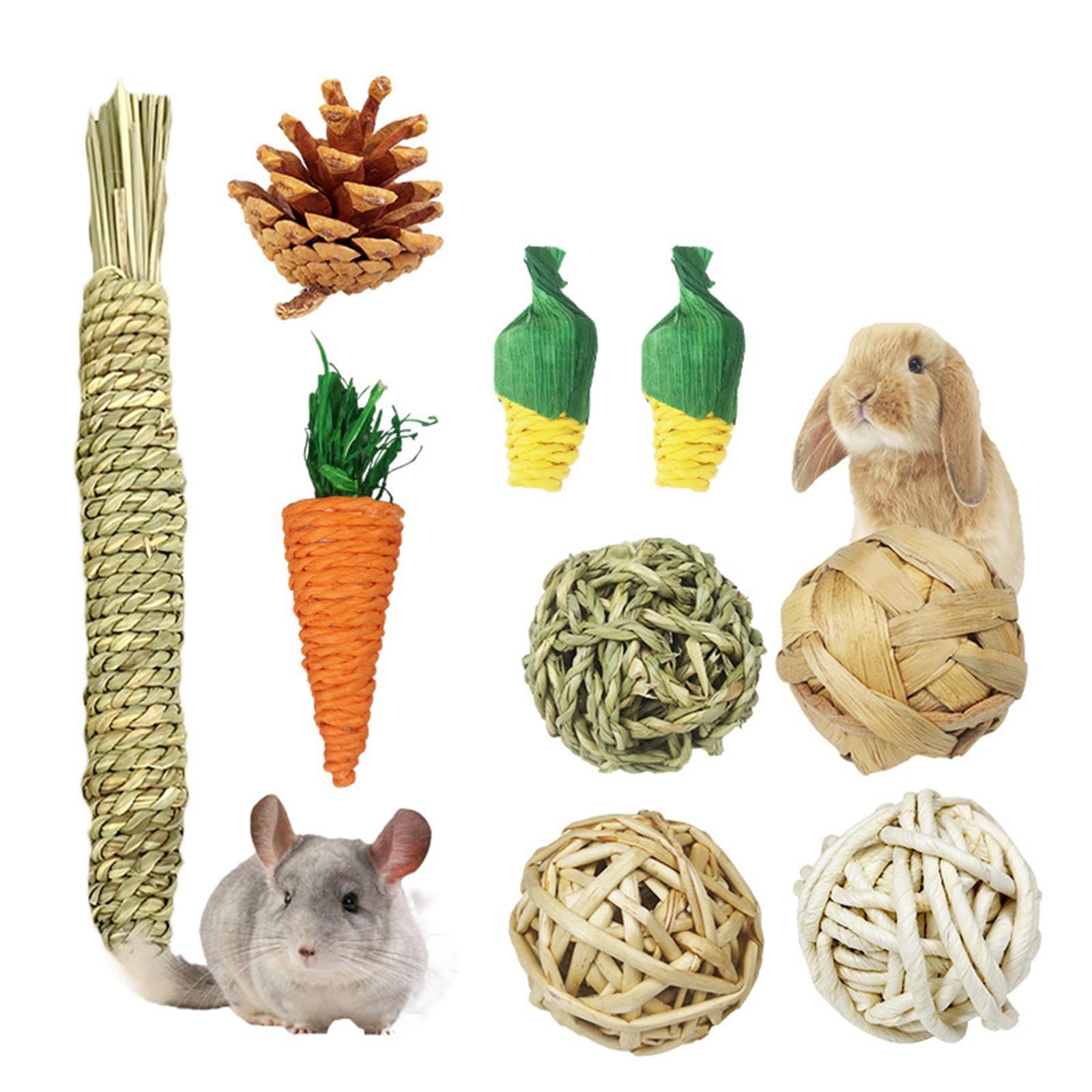 9PCS Guinea Toys， Hamster Chew Toys Rats Chinchillas Toys Accessories Safe Material Exercise Care Molar Toy for Bunny Rabbits Gerbils