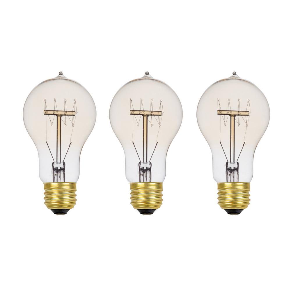 Globe Electric 60 Watt A19 Dimmable Cage Filament Vintage Edison Incandescent Light Bulb Warm Candle Light (3-Pack) 31325