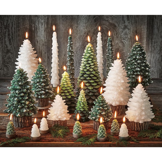 Tagltd Spruce Med Rustic Tree Candle