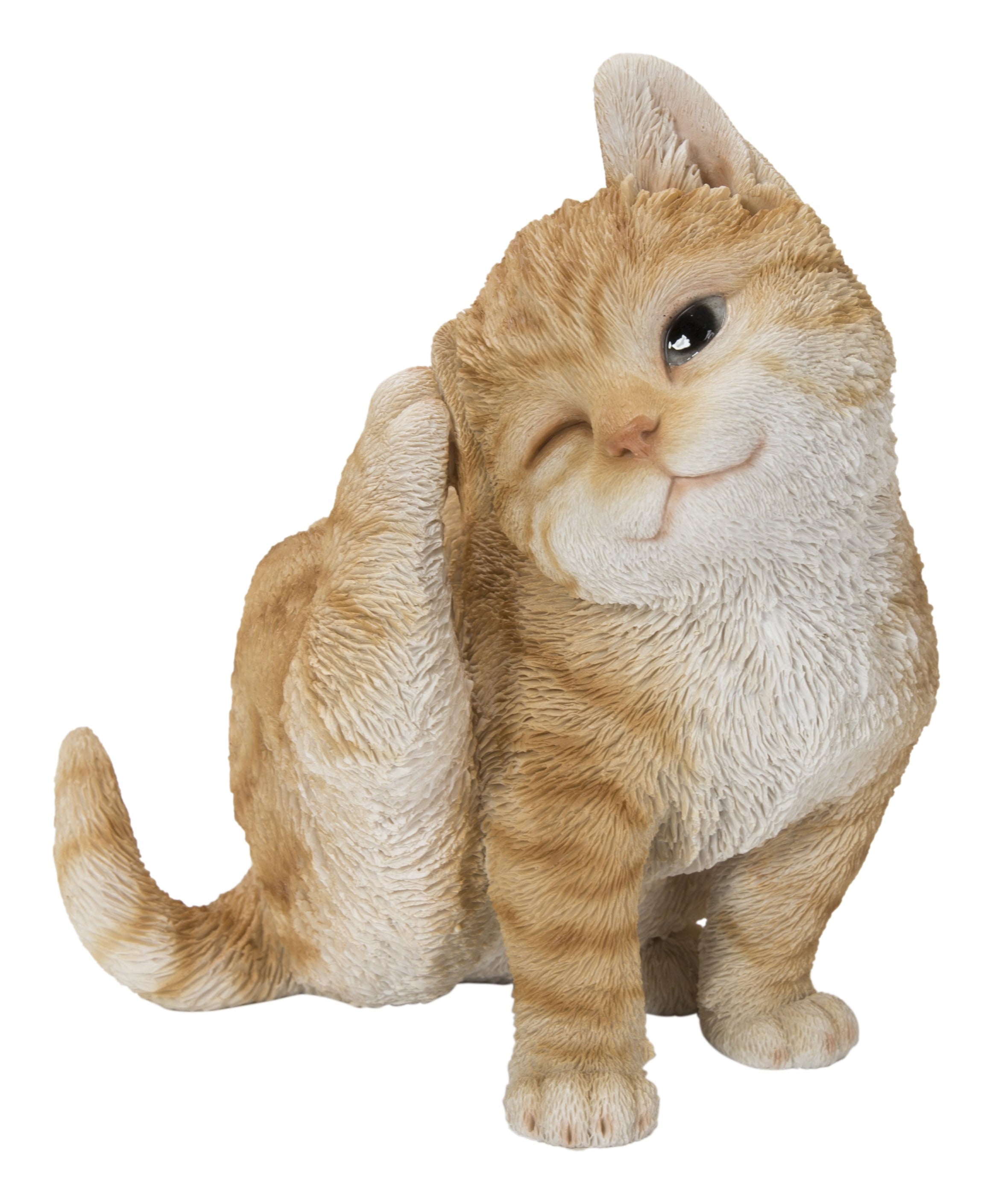 YELLOW CAT SCRATCHING EAR