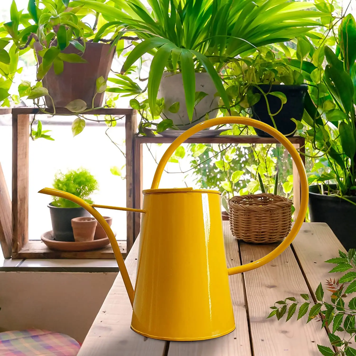 Stylish Metal Watering can taking care of your plant garden Use for Outdoor House Plants Kitchen Metal Garden Terrace Water Cans