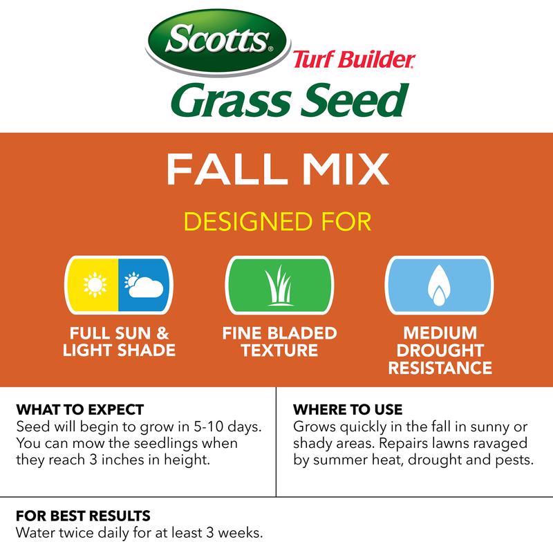 TB FALL GRASS SEED 3 LB