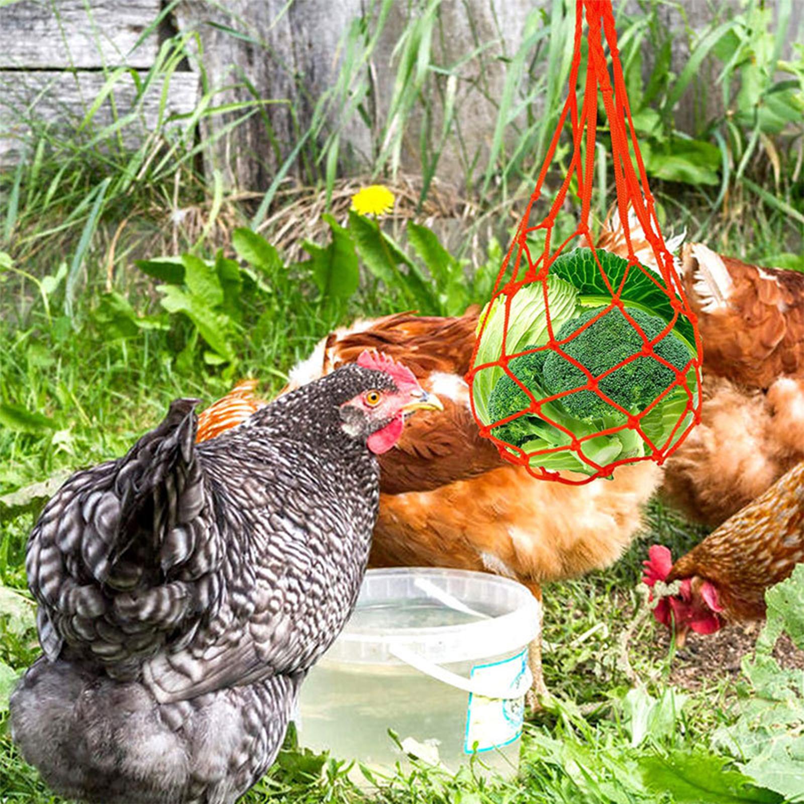 Chicken Vegetable String Bag Hanging Feeder for Large Birds Roosters Poultry red