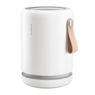 MOLEKULE Air Mini+ 250 sq.ft. Air Purifier PECO Filter MN2PXUS