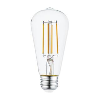 Globe Electric 60 Watt Equivalent ST19 Dimmable Straight Filament Dusk to Dawn Vintage Edison LED Light Bulb  Soft White Light 35687