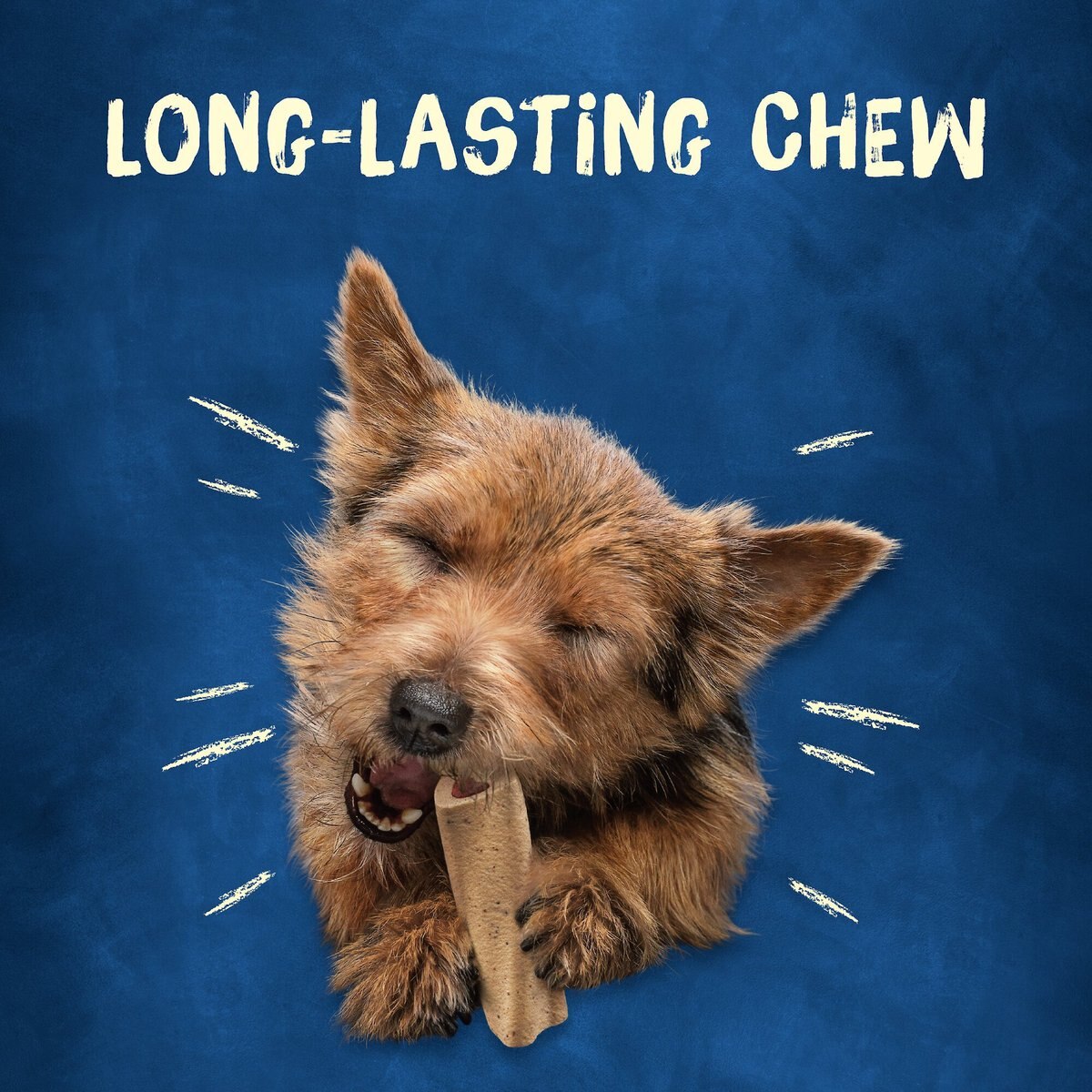 Busy Bone Long Lasting Rawhide-Free Real Meat Mini Dog Treats