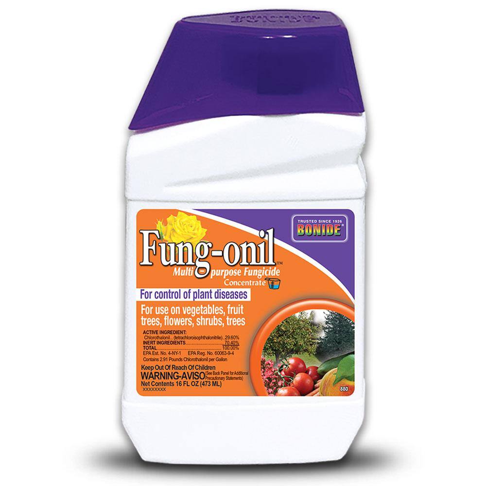 Bonide Fung-onil Multi-Purpose Fungicide 16 oz. Concentrate for Plant Disease Control Controls Blight Mildew and More 880