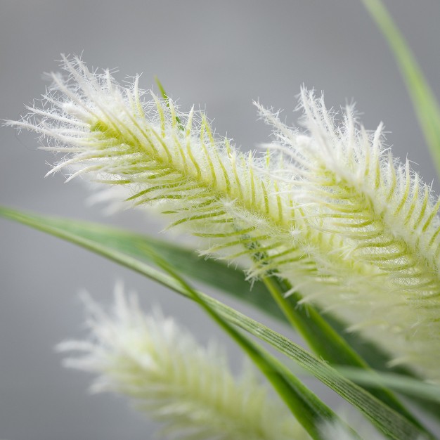 Sullivans Artificial Fuzzy Fox Tail Grass Bush 12 5 quot h Green