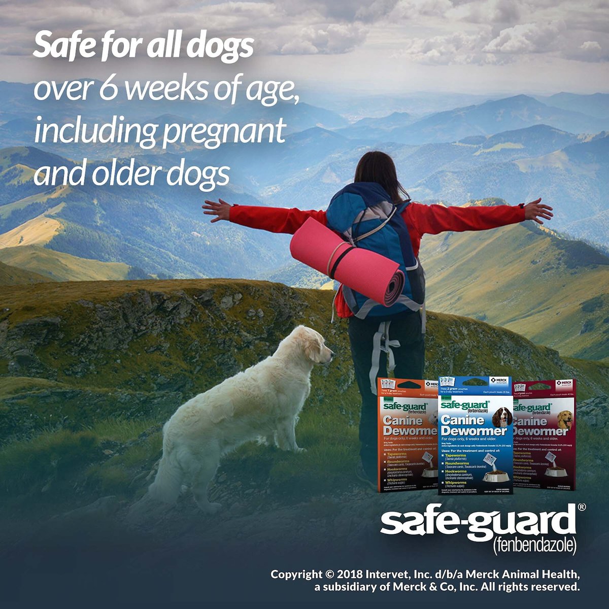 Safe-Guard Dewormer for Hookworms， Roundworms， Tapeworms and Whipworms for Large Breed Dogs