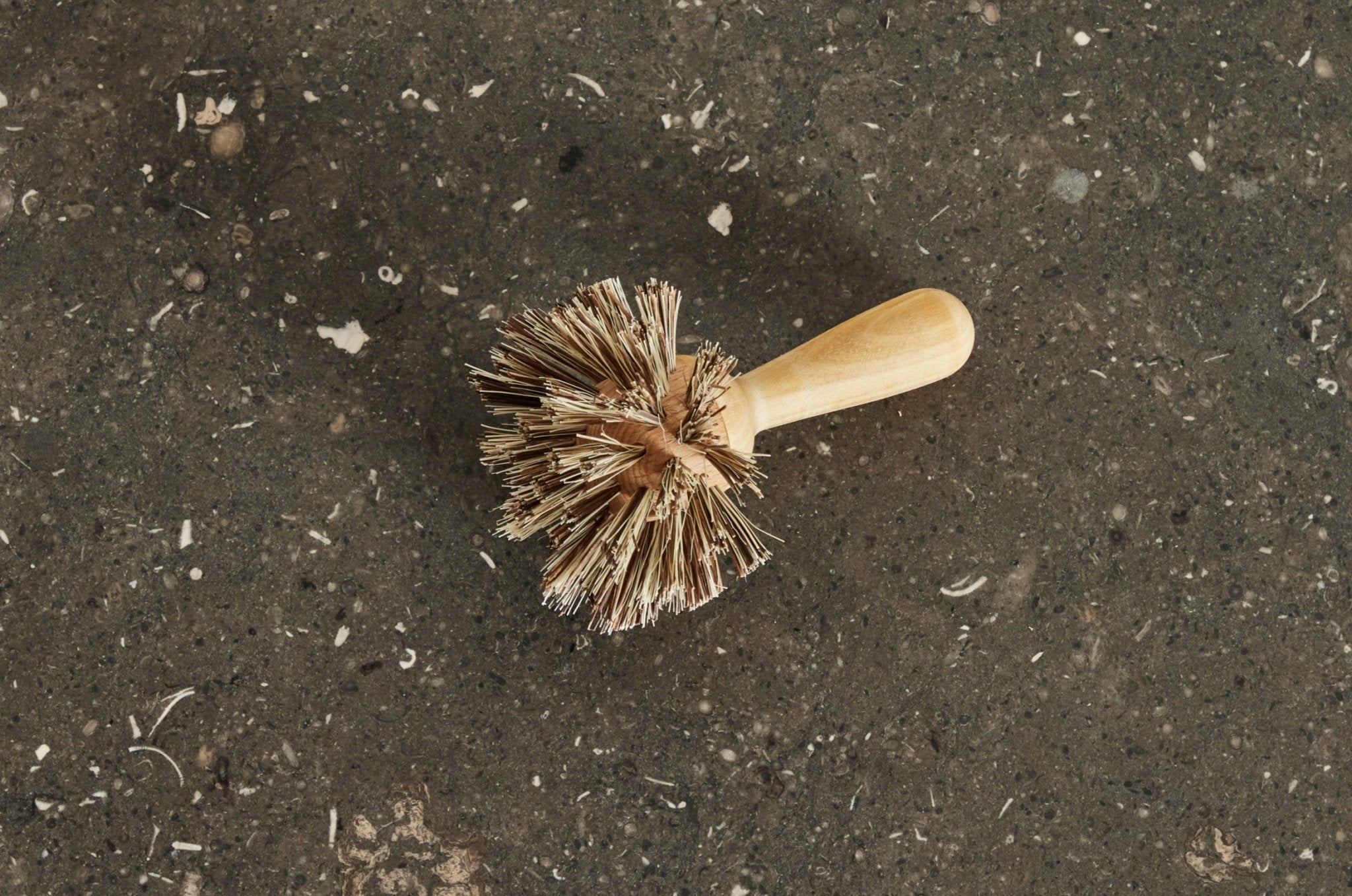 Birch Pan Brush