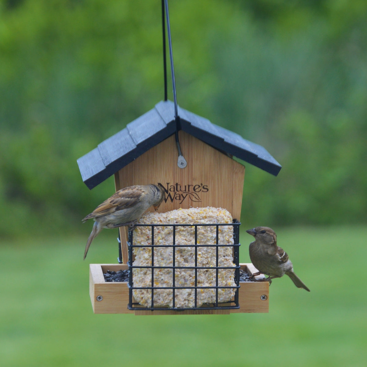 Bamboo - 3QT Hopper bird feeder w/suet