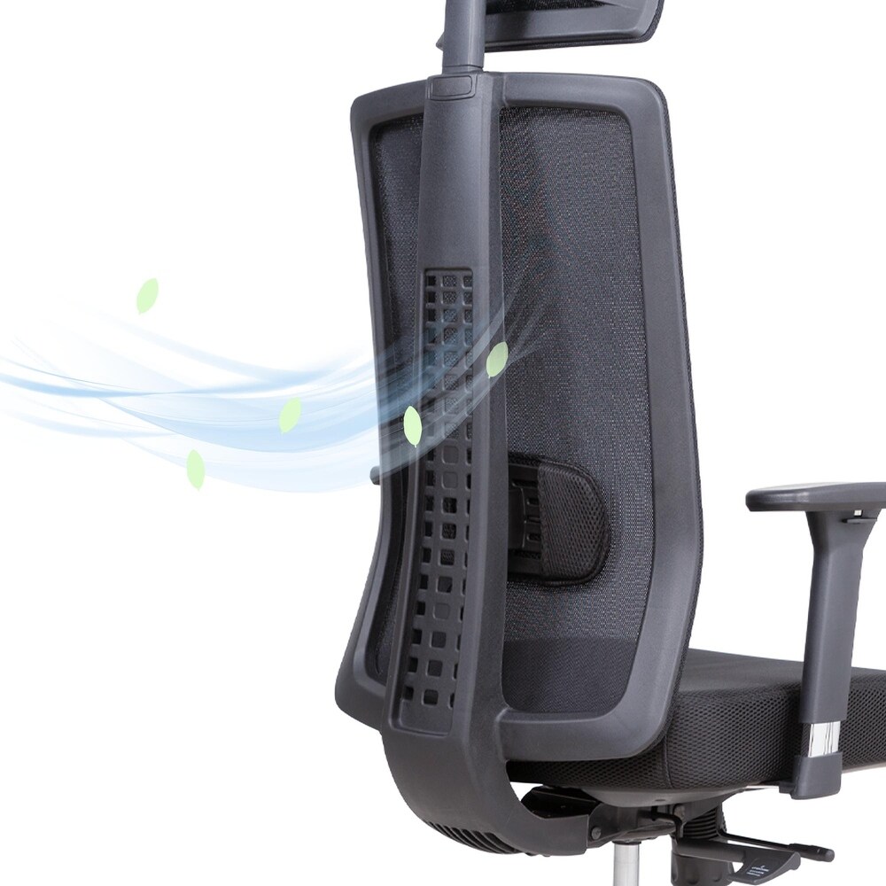 Lanbo Ergonomic Swivel Office Chair Adjustable Lumbar Support Desk Chair with Breathable Mesh