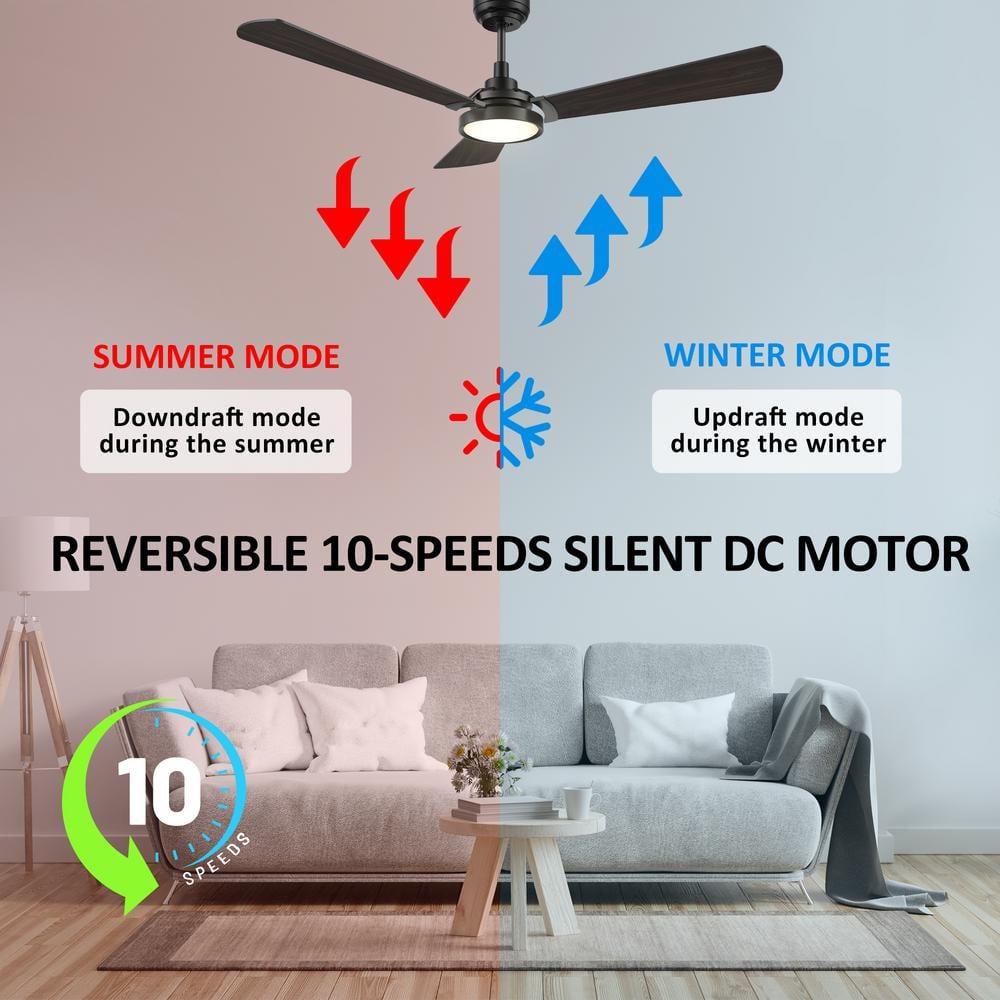 CARRO Veter 56 in Dimmable LED IndoorOutdoor Black Smart Ceiling Fan with Light and Remote Works with AlexaGoogle Home