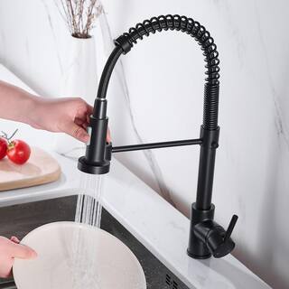 Heemli Spiral tube Single Handle Gooseneck Pull Out Sprayer Kitchen Faucet with Deckplate Included in Matte Black KBN0201MB