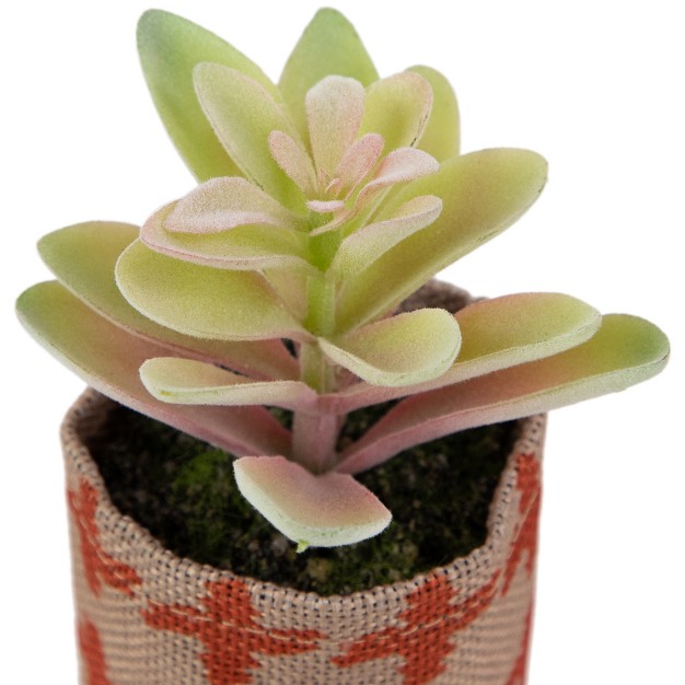 Artificial Pastel Succulent In Burlap Bag