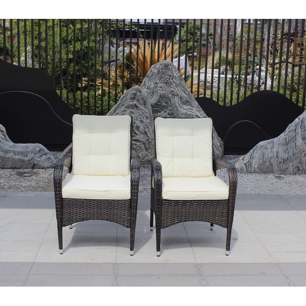 Outdoor Patio Furniture Set Conversation Set 2Piece Resin Wicker Dining Sofa Chair Set for Patio，Backyard，Garden，Meadow