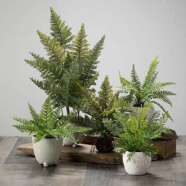 Sullivans Artificial Fern In Ball