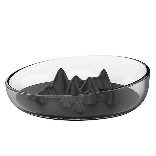 2 In 1 slow dog food bowl