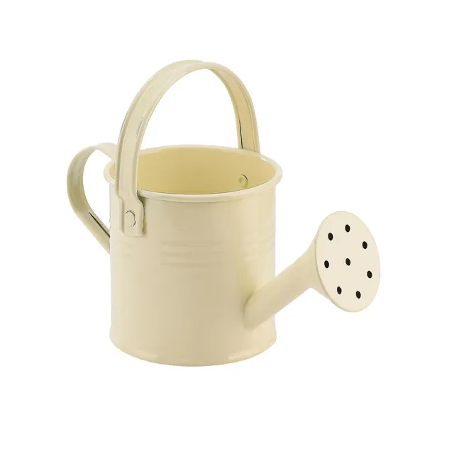 Metal Water Can Super Fine Quality Handmade Best Water Can Home   Garden Supplies Wholesale Garden Watering Can