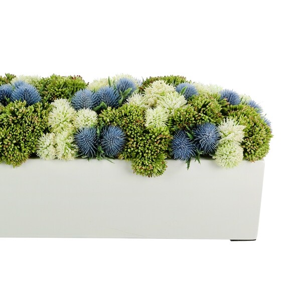 Sedum and Thistle Arranged in Rectangular Planter