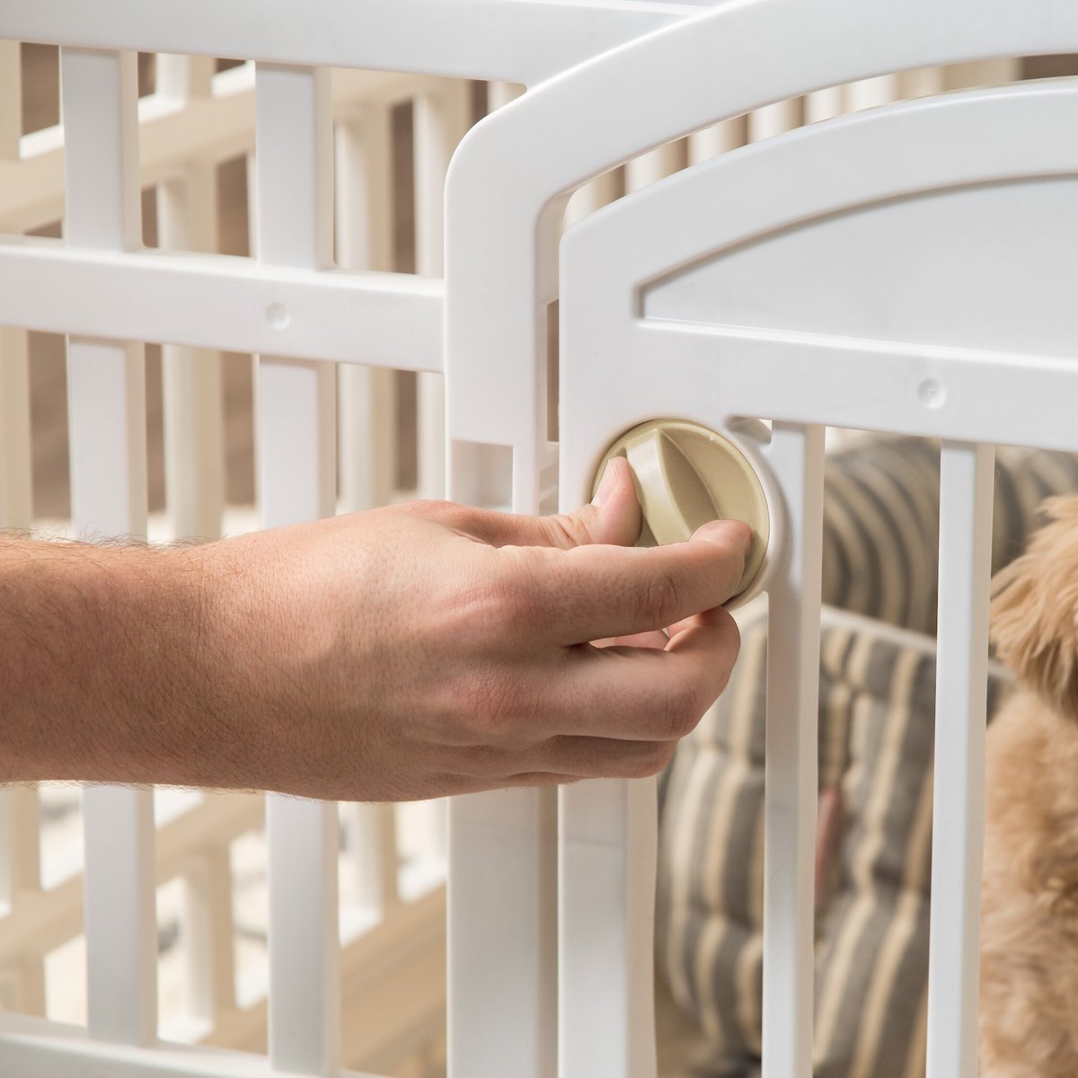 IRIS 6-Panel Plastic Exercise Dog Playpen with Door， White