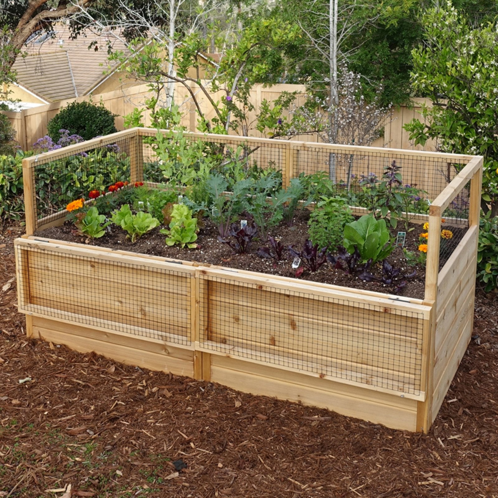 Outdoor Living Today Raised Cedar Garden Bed - 6 x 3 ft.