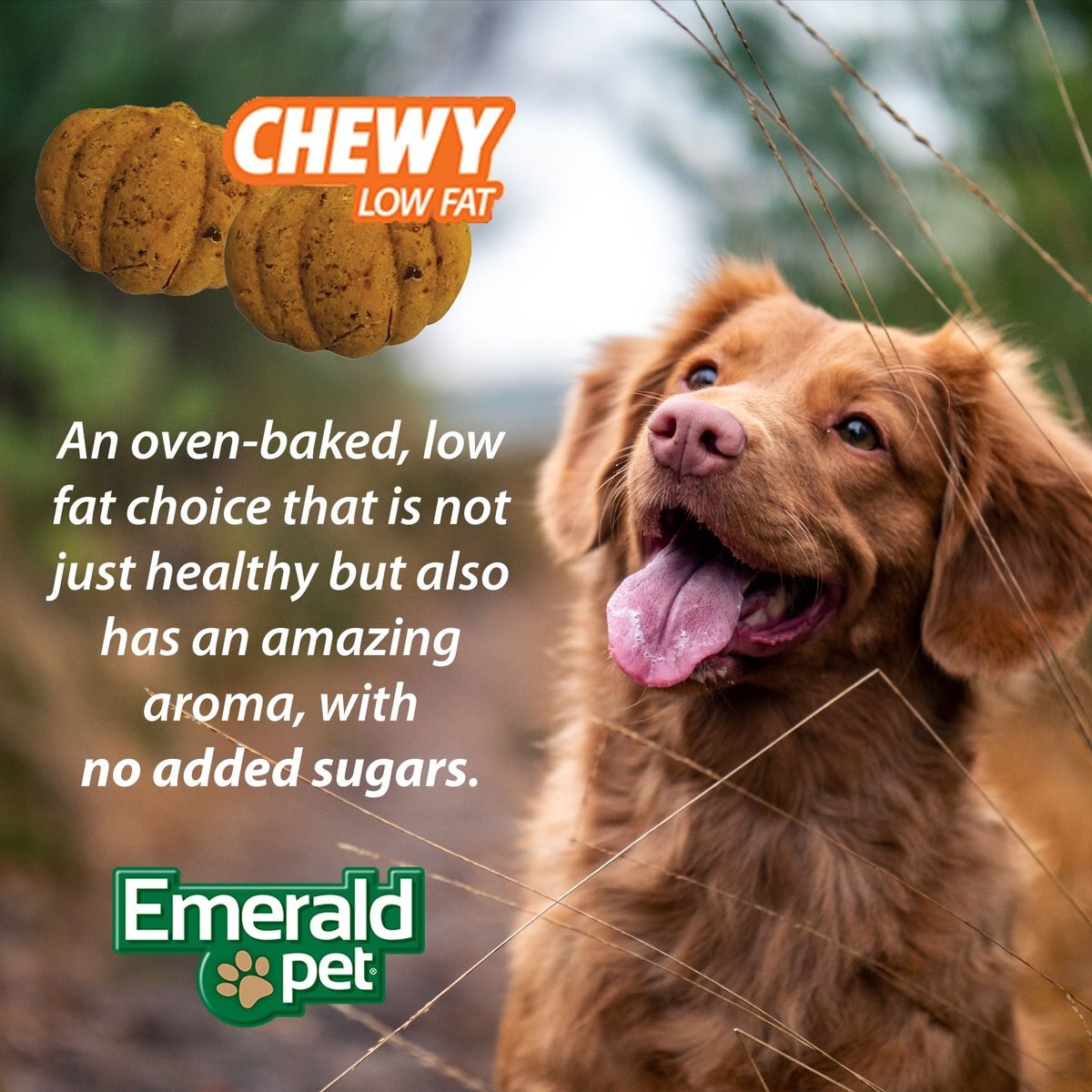 Emerald Pet Pumpkin Harvest Oven Baked With Sweet Potato Chicken-Free Dog Treats， 6-oz bag