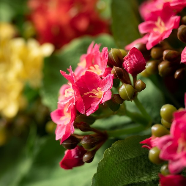 Sullivans Artificial Kalanchoe Flower Bush Set Of 3 8 quot h Green