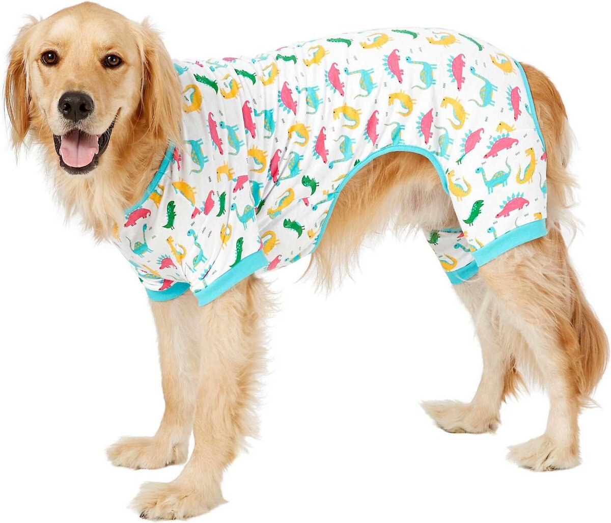 Frisco Dinosaur Print Dog and Cat Jersey PJs