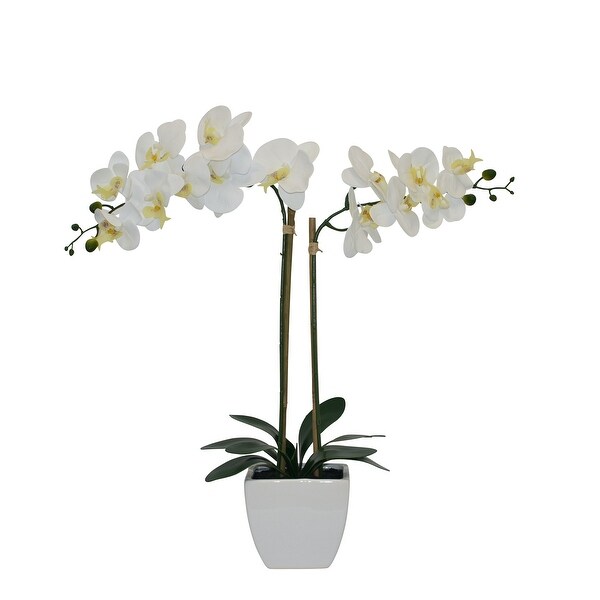 28 RealTouch Artificial Orchid