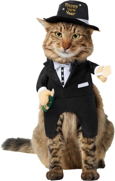 Frisco Front Walking New Years Tuxedo Dog and Cat Costume