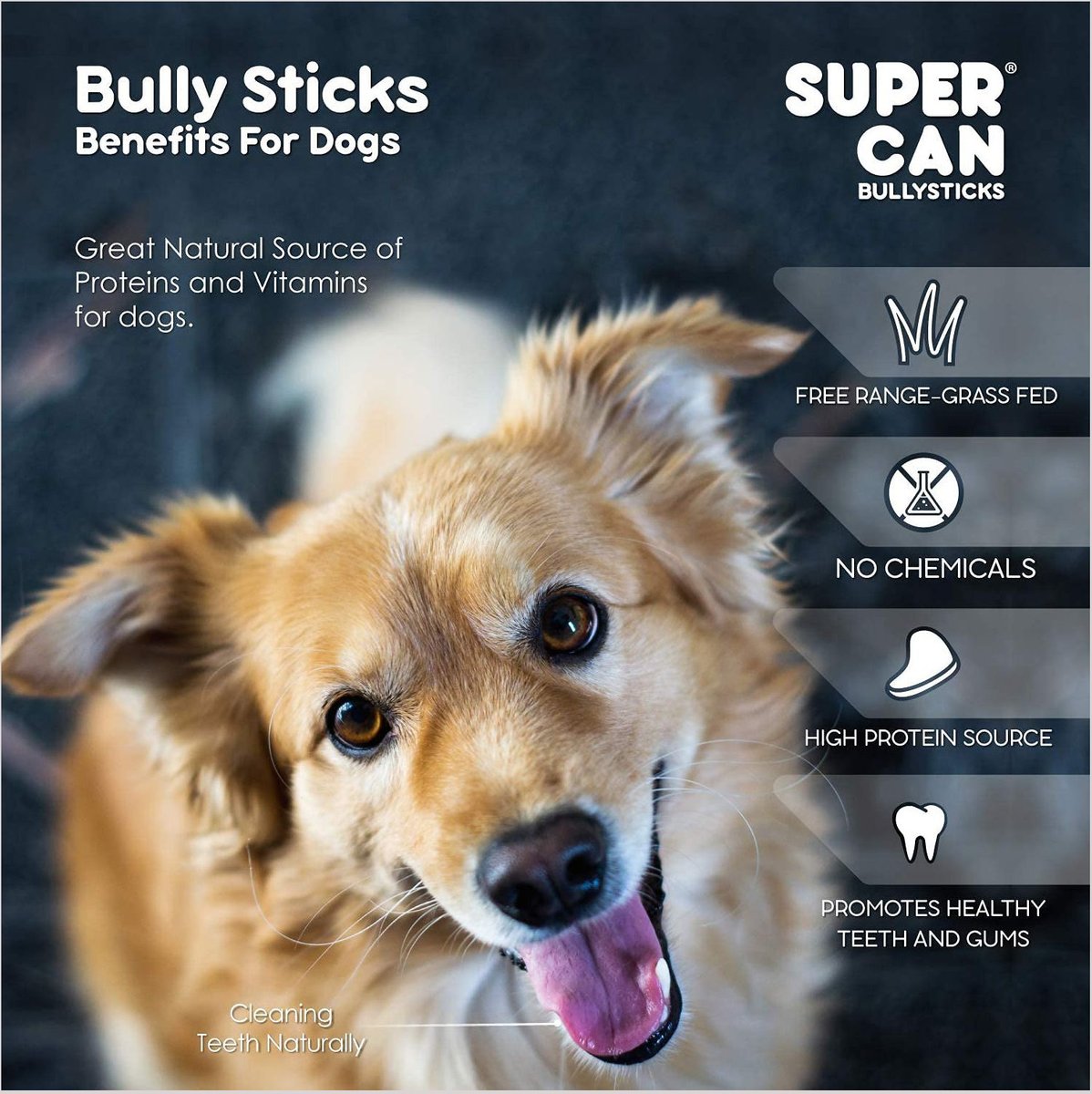 SuperCan Bully Sticks Junior Thin Bully Sticks Dog Treats， 25 count