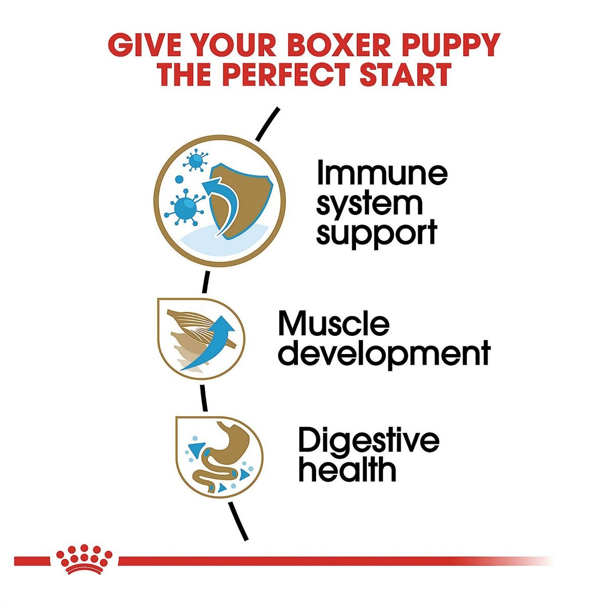 Royal Canin Breed Health Nutrition Boxer Puppy Dry Dog Food