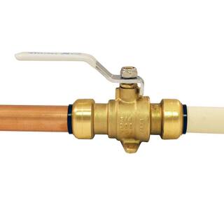 Tectite 34 in. Brass Push Ball Valve with Flange and Drain FSBBV34DE