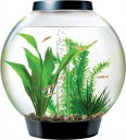 biOrb CLASSIC 15 Aquarium with MCR Light - 4 gallon， black