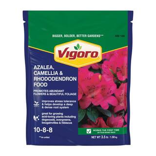 Vigoro 3.5 lb. All Season Azalea Camellia and Rhododendron Plant Food (10-8-8) 124248