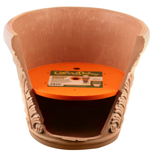 Ups a daisy Planter Insert Orange Bloem