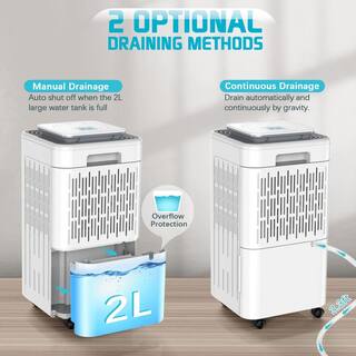 Xppliance 30 pt. 2000 sq. ft. Dehumidifier in White for Home with Dry Clothes Function Auto or Manual Drainage ZJOLWBRY03