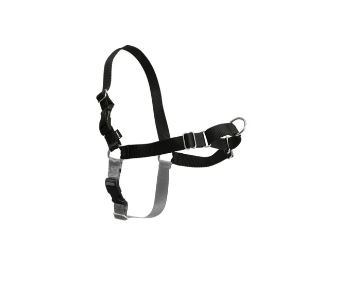 PetSafe Easy Walk Harness， No Pull Dog Harness， Small， Black