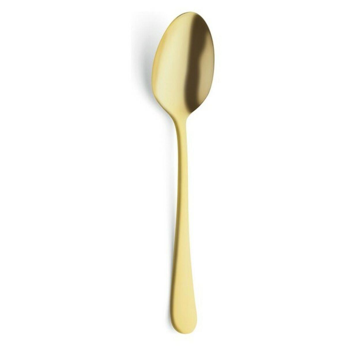 Dessert spoon Amefa Austin Gold 18，5 cm - 2，5 mm 12 Units