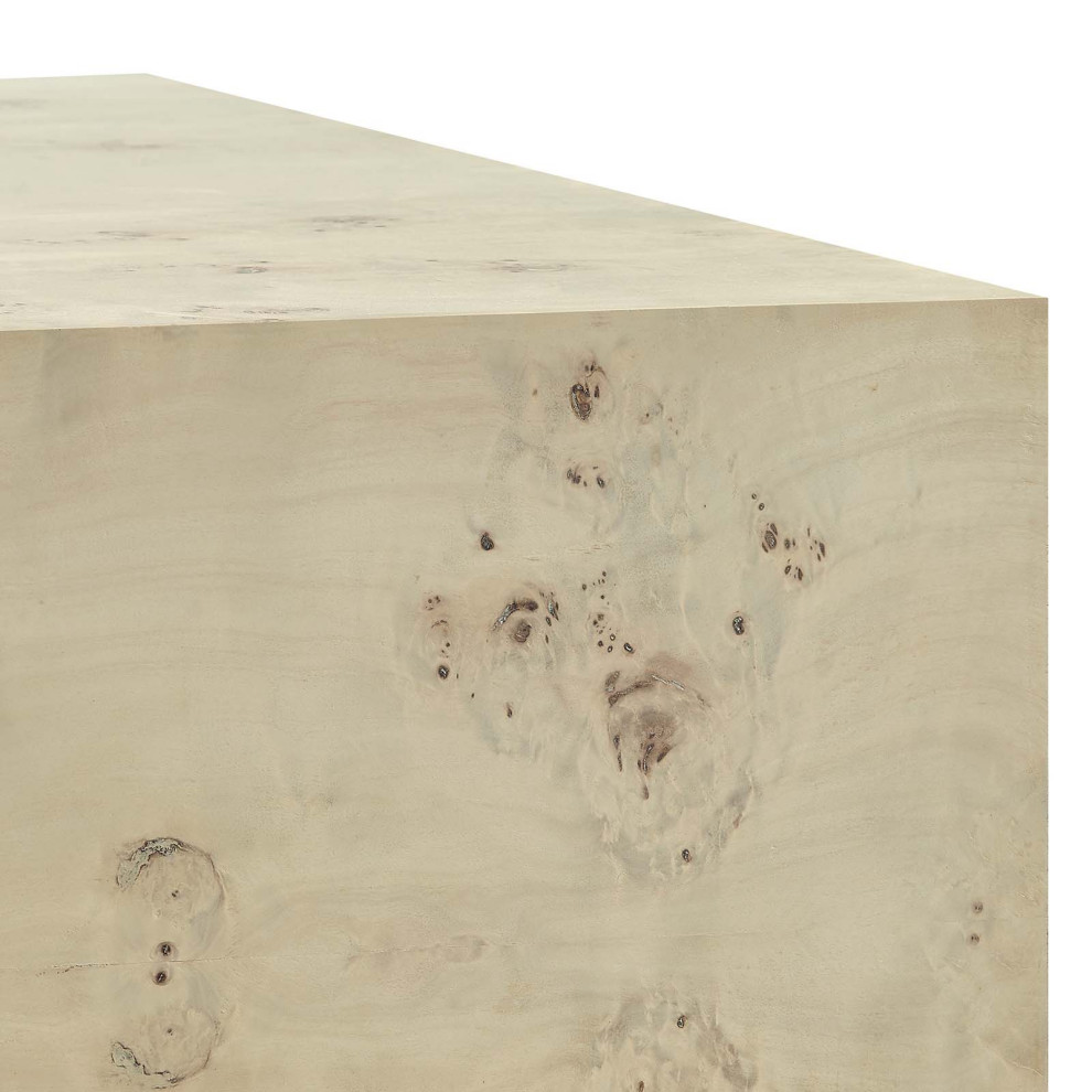 MODWAY Cosmos 36 quotSquare Burl Wood Coffee Table   Transitional   Coffee Tables   by Modern Furniture LLC  Houzz