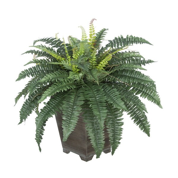 Faux Fern in Short Wood Washed Planter