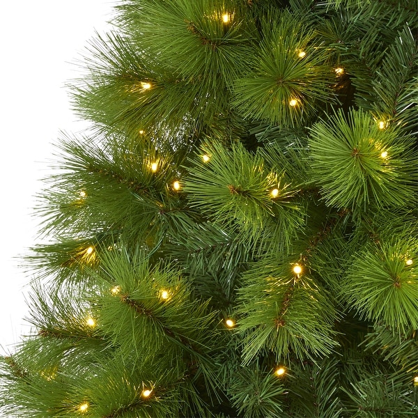 8' Green Scotch Pine Christmas Tree with 600 Clear LED Lights