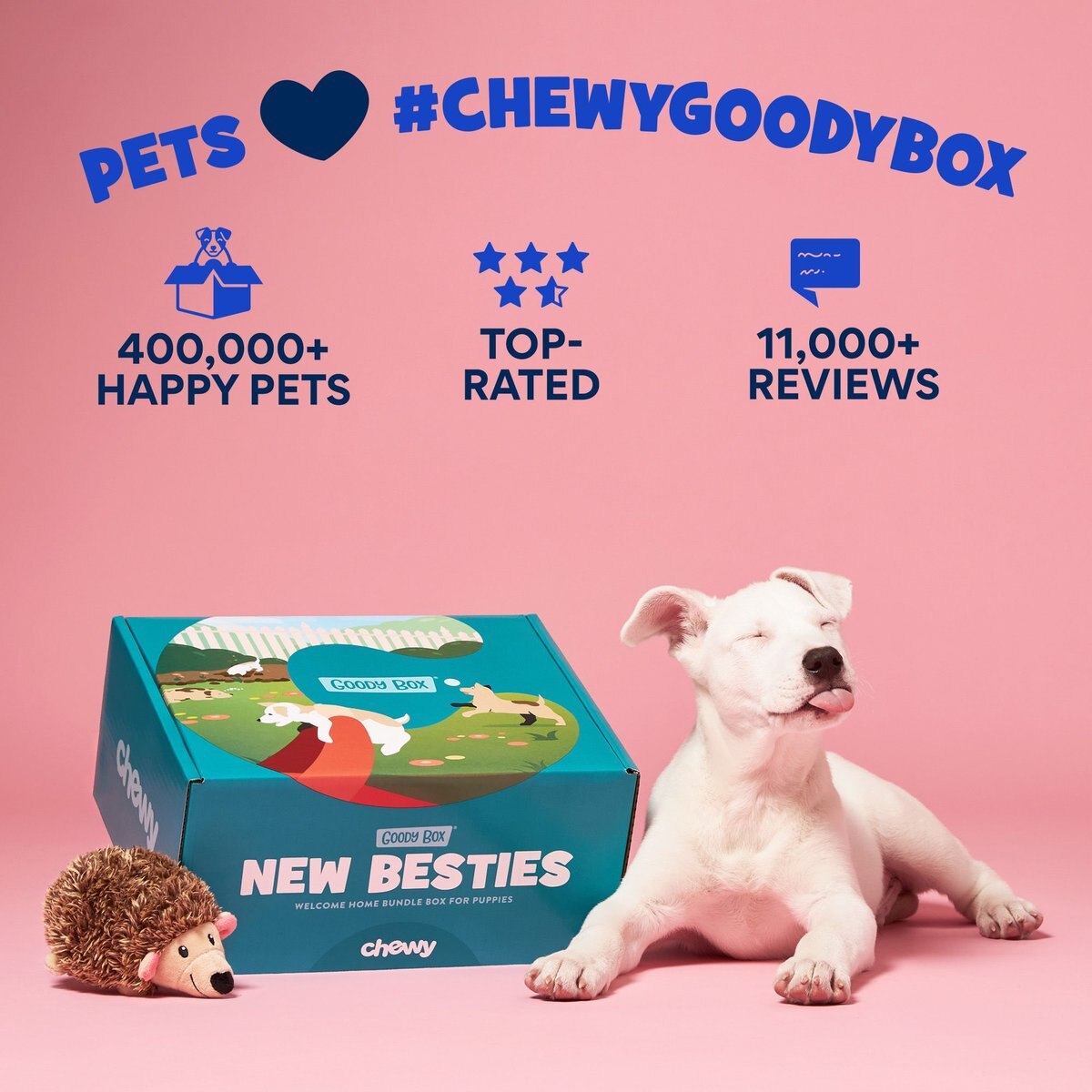 Goody Box Puppy Toys， Treats and Potty Training