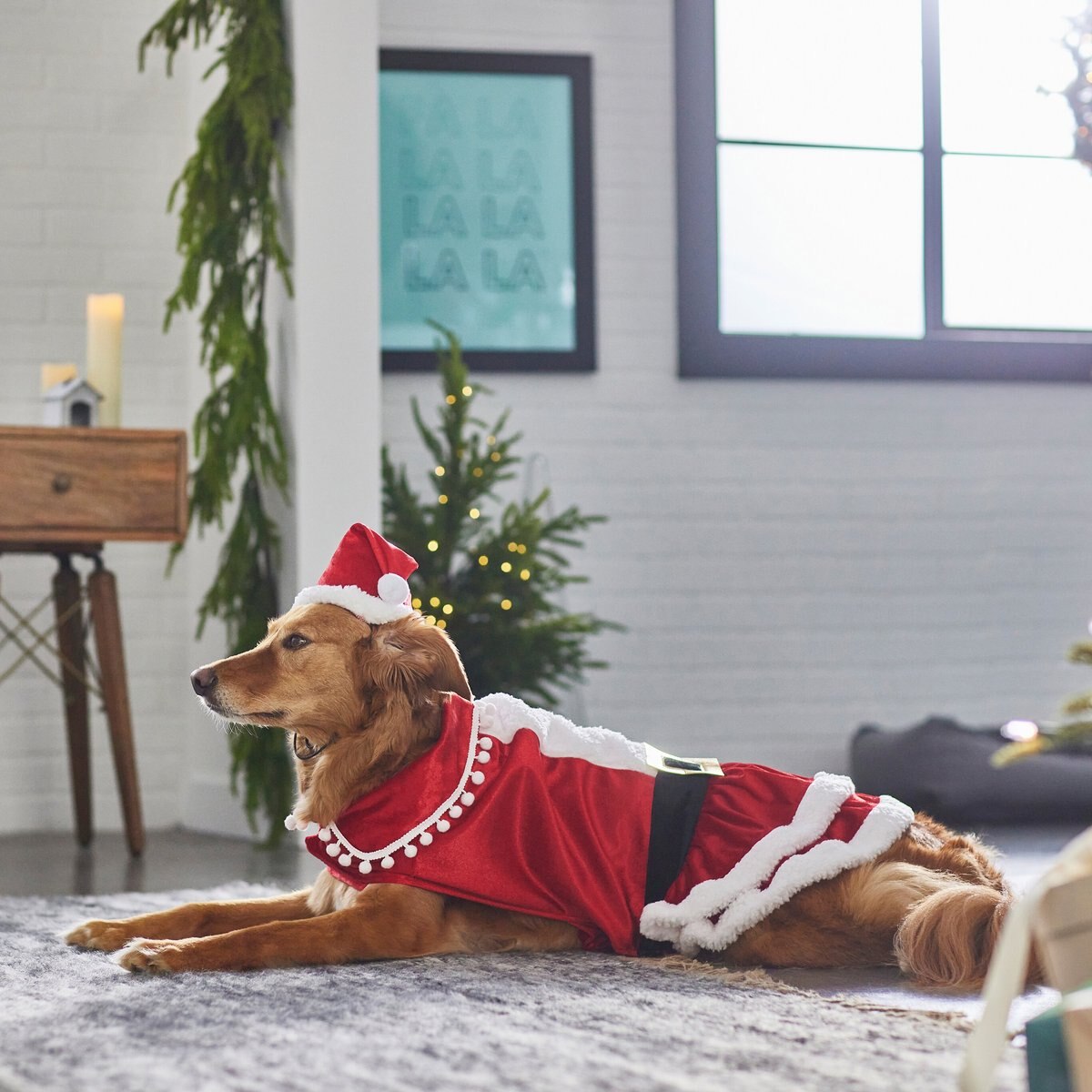 Frisco Mrs. Claus Dog and Cat Costume