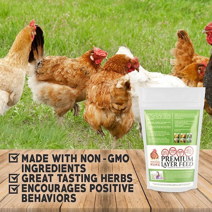 Pampered Chicken Mama Layer Feed Chicken Feed