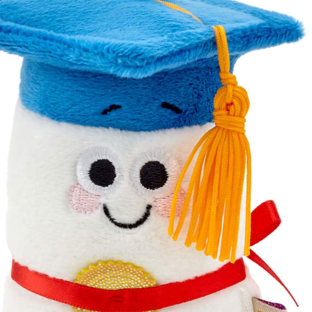 Hallmark  itty bittys® Diploma Plush With Sound