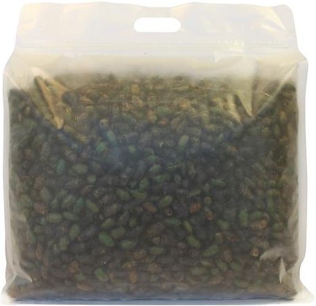 Exotic Nutrition Beetle Craze Bird Treats， 2-lbs bag