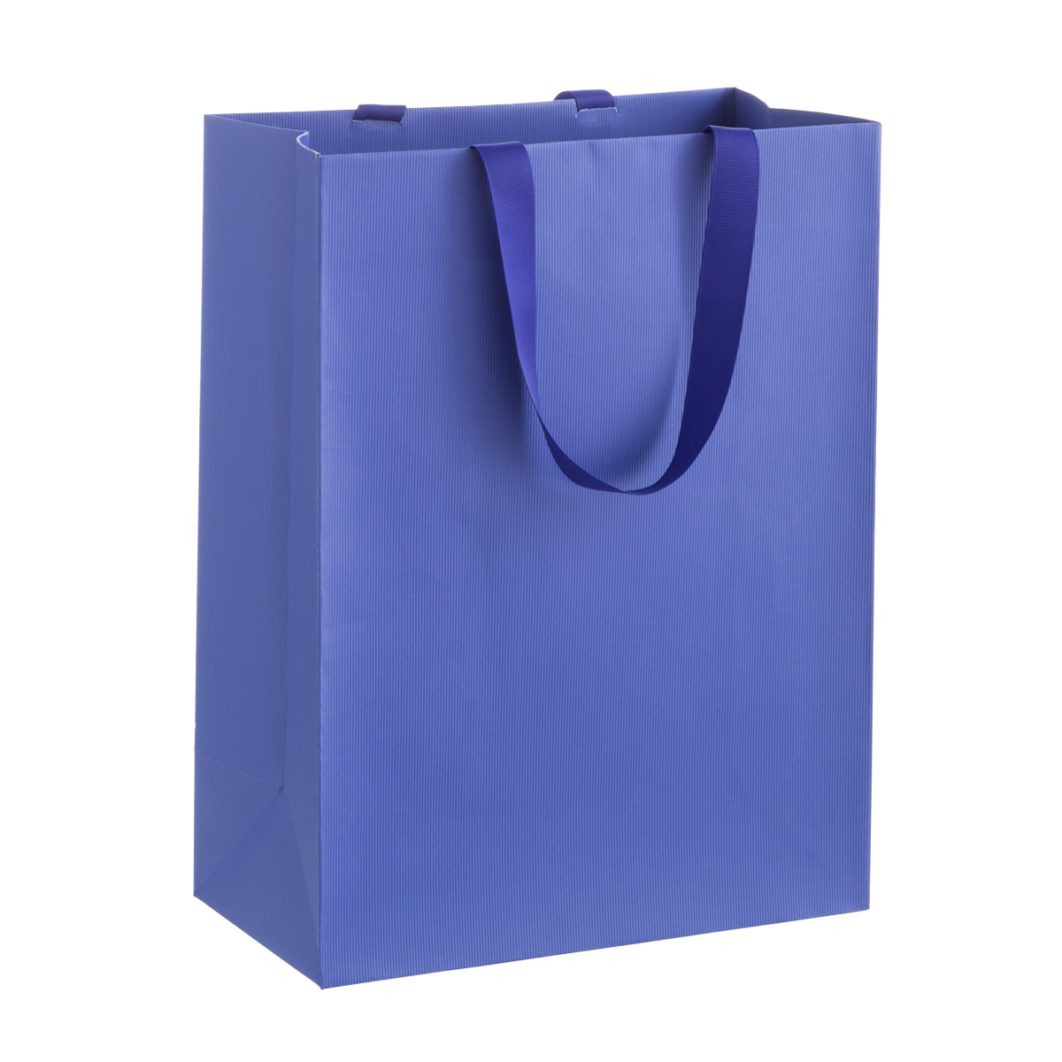 Large Gift Bag